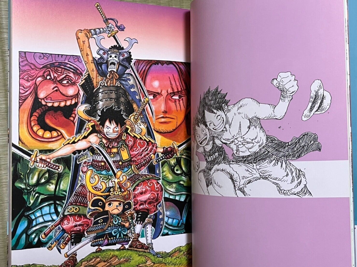 ONE PIECE Eiichiro Oda Illustration COLOR WALK 10 DRAGON