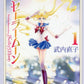 Pretty Guardian (Bishojo Senshi) Sailor Moon 1 (Kodansha Manga Bunko)