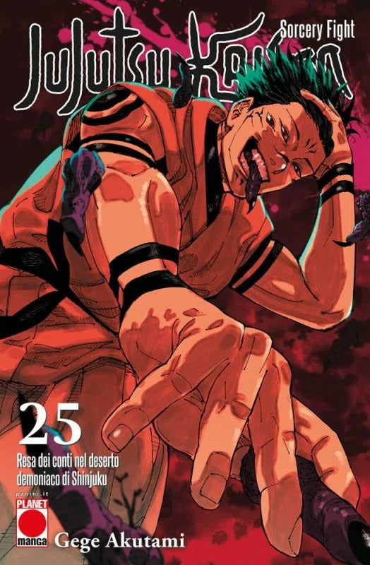 Jujutsu Kaisen Sorcery Fight 25