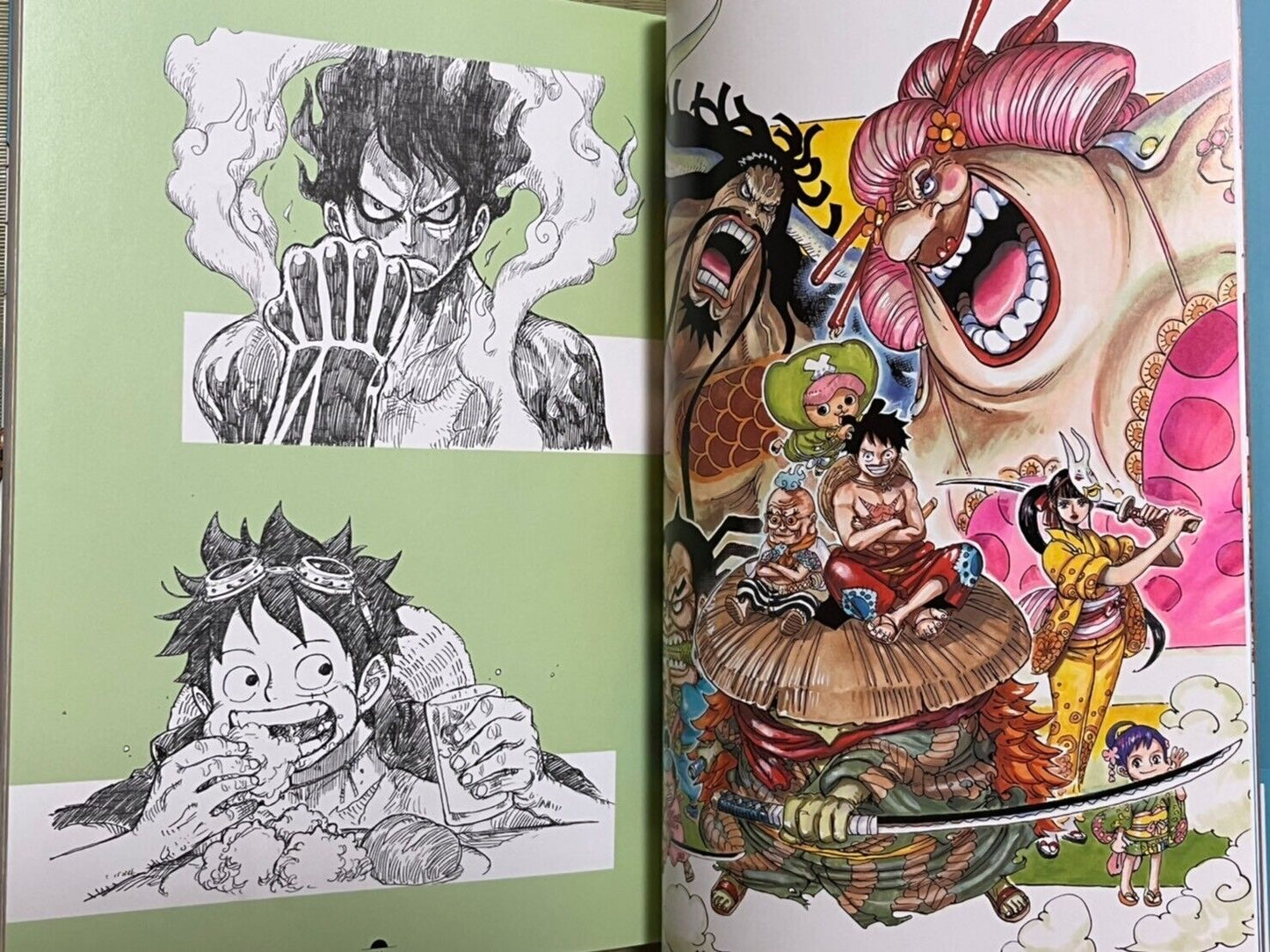 ONE PIECE Eiichiro Oda Illustration COLOR WALK 10 DRAGON